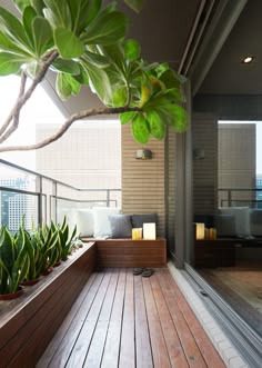 558 Park Dr — Slate Patio
